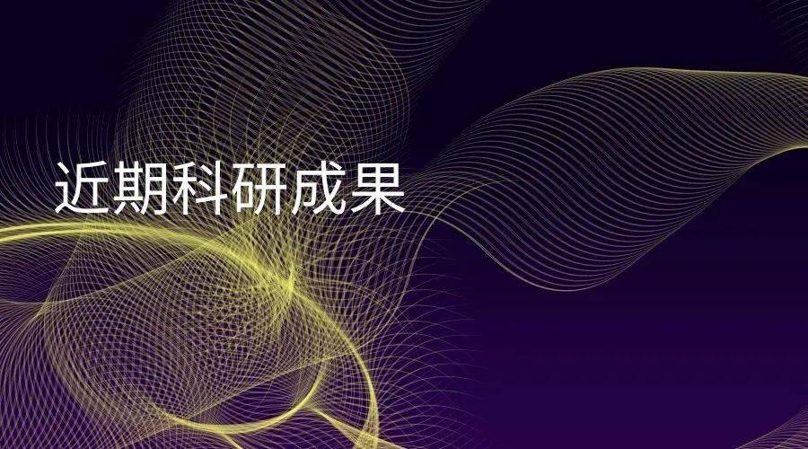 陈明道最新动态与成就