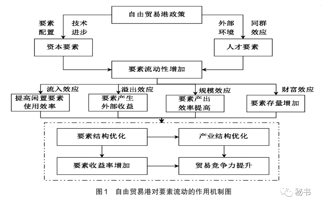 最新贸易策略，全球视角下的策略调整与优化