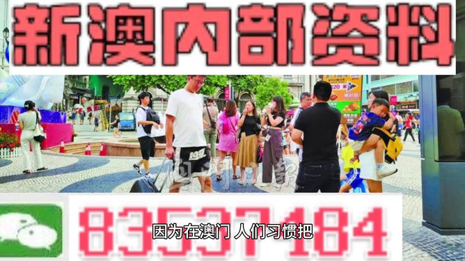 新澳2024正版资料免费公开，全面解析与深度探讨