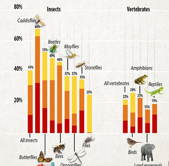 动物灭绝的最新警报，保护生态平衡的紧迫性