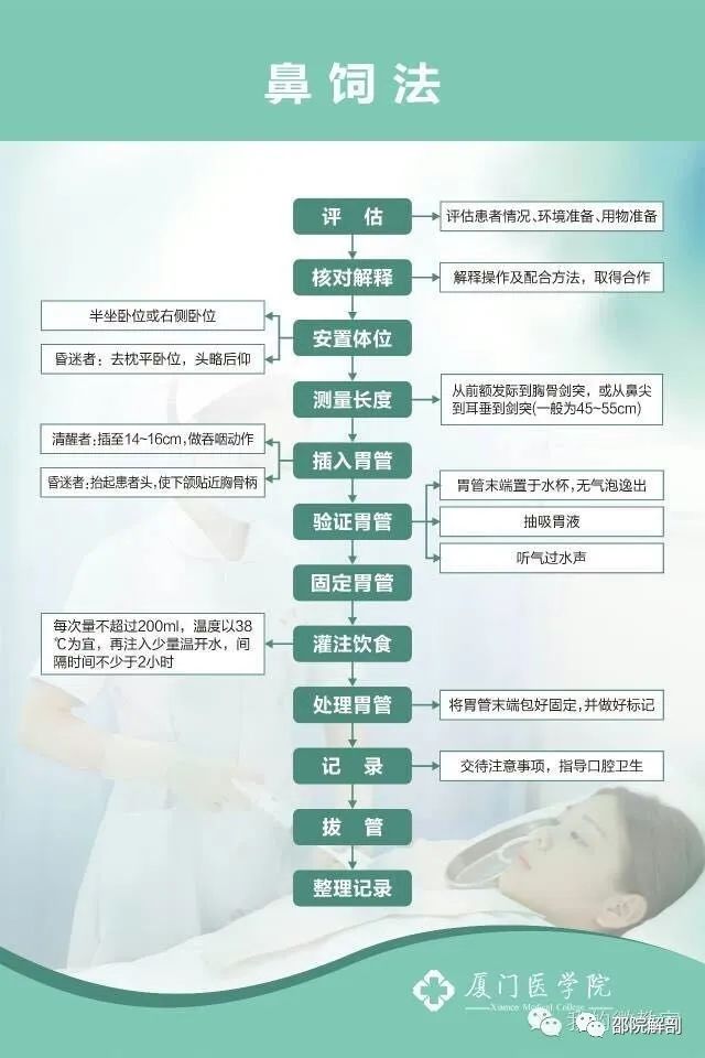 最新鼻饲视频，全面解析与操作指南