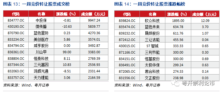 全面解析2024年新奥全年资料，精选解释与落实策略