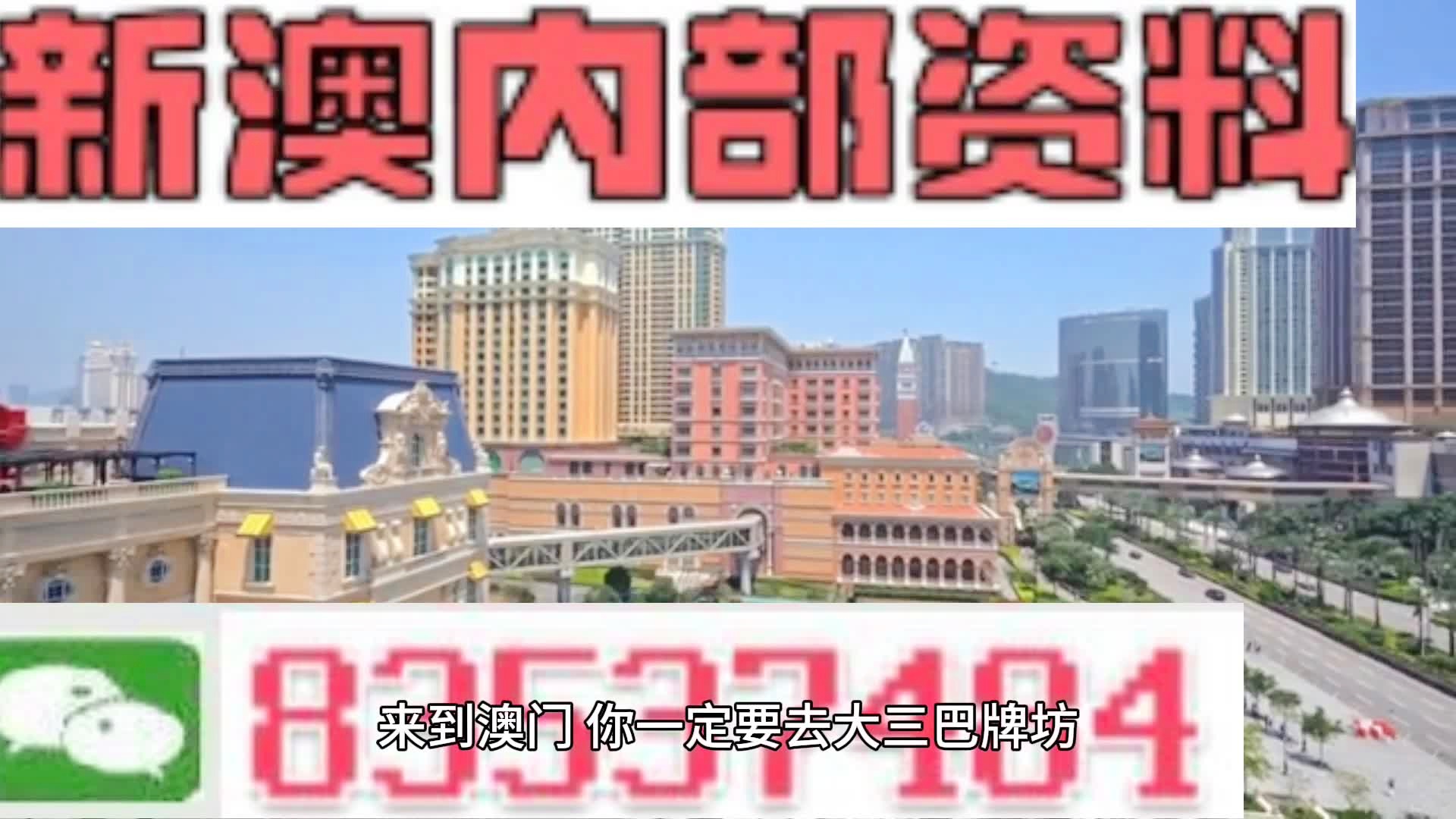 关于2024新澳门天天开好彩的精选解释解析落实