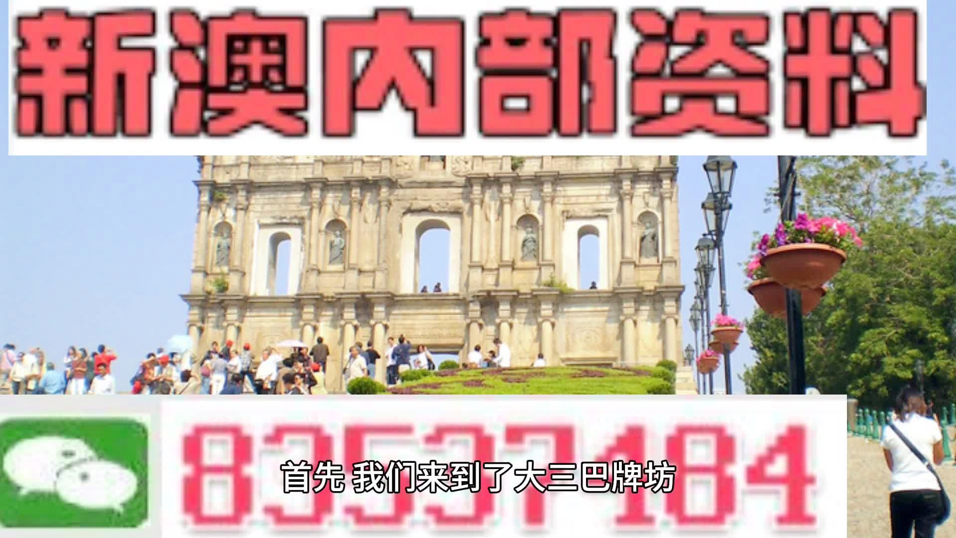 关于2024新澳门天天开好彩的精选解释解析落实