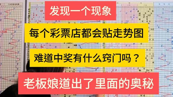 管家婆100%中奖的奥秘，精选解释、解析与落实