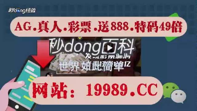 关于2024新澳门天天开好彩的精选解释解析落实