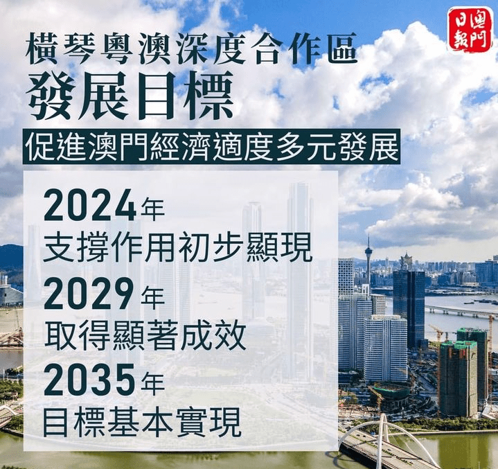 2024年新澳门第31期开奖结果精选解析与深度解读