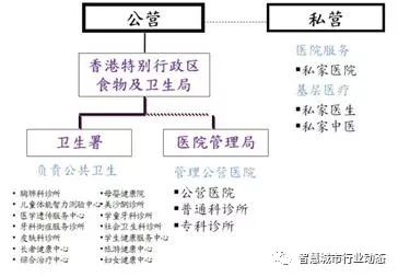 2024香港港六开奖记录精选解析，解释与解析的全面落实