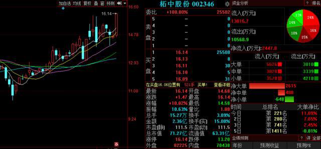 柘中股份最新消息深度解析