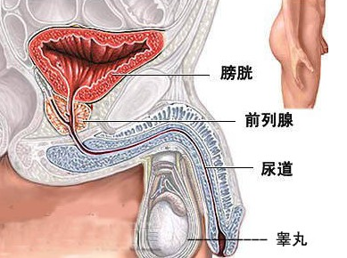 膀胱肿瘤最新治疗方法