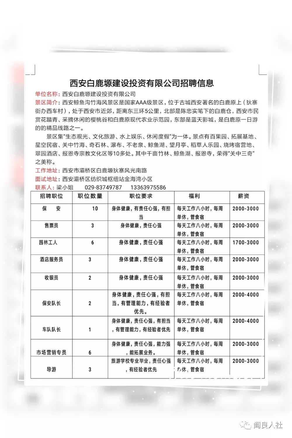 西峰今日最新招聘信息解读